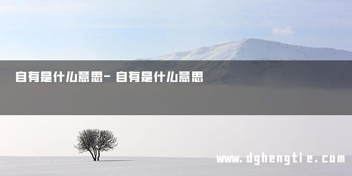 自有是什么意思-自有是什么意思 